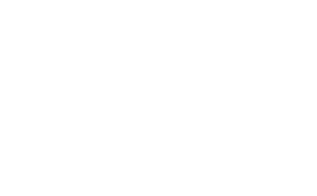 White logo of byd