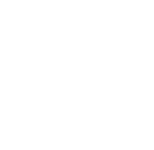 White logo of citroen