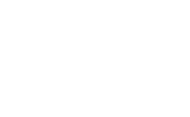 White logo of fiat