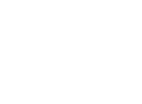 White logo of lexus