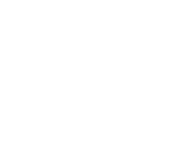 White logo of nissan