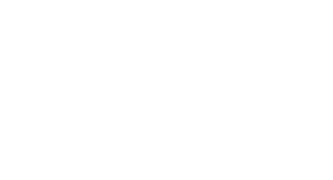 White logo of subaru