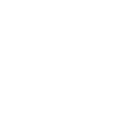 White logo of tesla