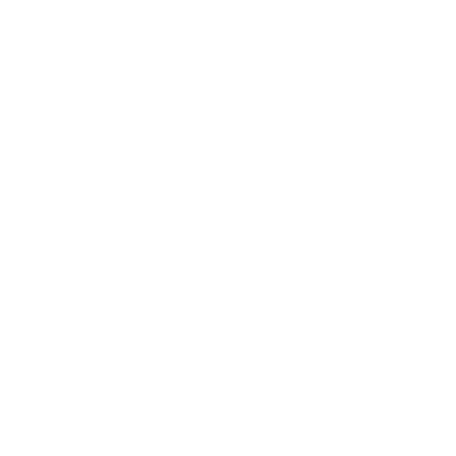 White logo of volkswagen